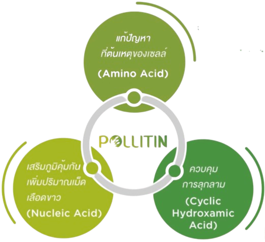 ข้อดีของ Pollitin 1.กระตุ้นการสร้างเซลล์ใหม่ 2.ยับยั้งการแพร่กระจาย 3.ช่วยกําจัดเซลล์ร้ายไม่ให้ กระจายกว้างจากเดิม