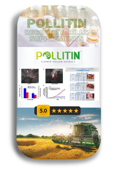 Pollitin อาหารเสริมที่ช่วยกระตุ้นการผลิตเม็ดเลือดขาว ทำให้ร่างกายฟื้นฟูได้ไวขึ้น แข็งแรงขึ้น สู้มะเร็งได้ทุกระยะ